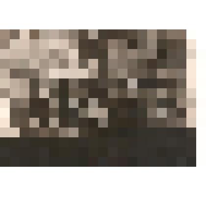 Фотография. Склад Аркадакского райпотребсоюза. Изображение работников склада за прилавком, на фоне стеллажей с продукцией