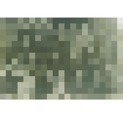 Фото. 2-й Б класс  Сольвычегодского  педучилища