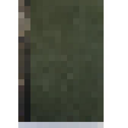 Энциклопедия Брокгауза и Эфрона. Том 25 (Внутри т. XIII)