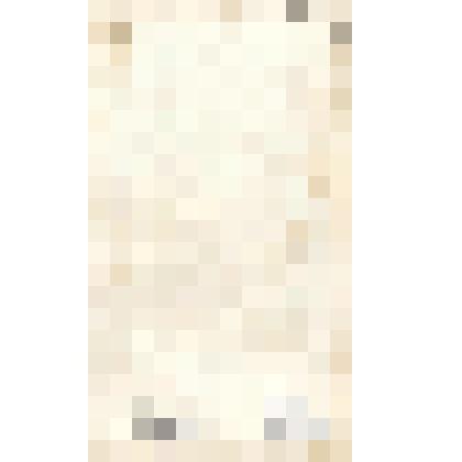 С работы Пейрона