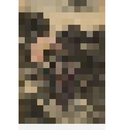 Открытка видовая. Carte Postale – Postkarte – Post Card