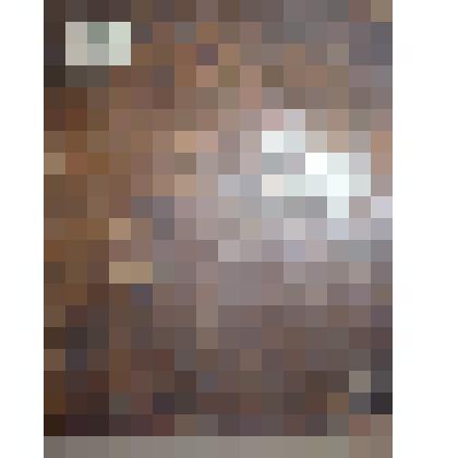 Книга. Памятник из законов, собранный трудами надворного советника Федора Правикова. Часть II, издание второе. - Владимир: Типография губернского правления, 1803 г