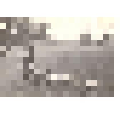 Фотография: Кузнецова, свинарка колхоза имени Мичурина Каменского района Алтайского края