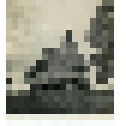 Фотография. Церковь Преображения Господня, 1628 г.  в селе Спас Вёжи