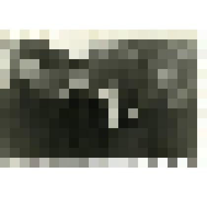 Фотография. Семья Куликовых, жителей села Дьяковского