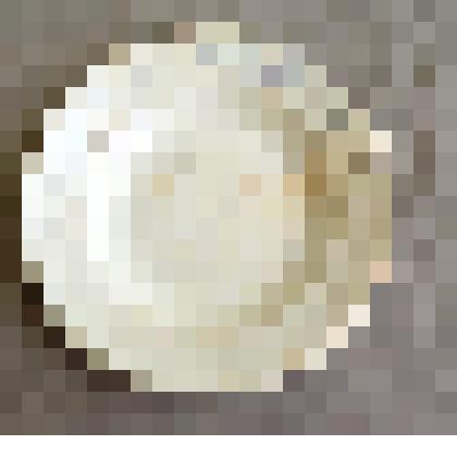 Тарелка мелкая с надписью «День шахтёра 28 августа 1949 г.»