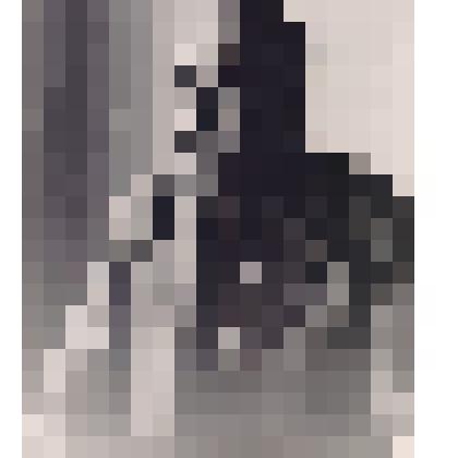 Шамигулов Абдулла Ямалетдинович