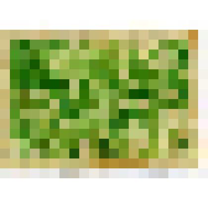 Марка 15 коп. "Артиллеристы на позиции", из альбома I. 23-й годовщине Красной Армии