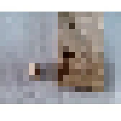 Игла морского ежа