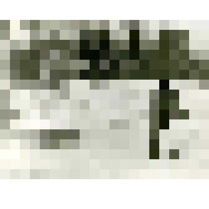 Фотография. Охотник-тунгус 99 лет оз. Сэнгнэке