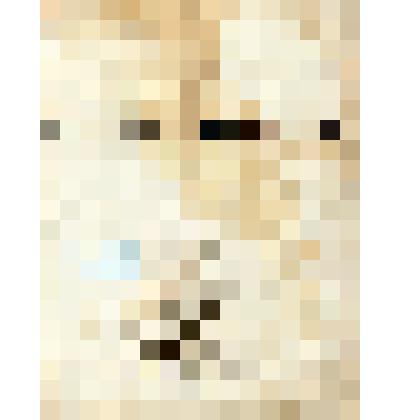 Сборник рукописный "Стихотворения. 1844". В сборнике произведения Козлова, Пушкина, Ломоносова, Подолинского,  Грекова, Ленского и др. авторов