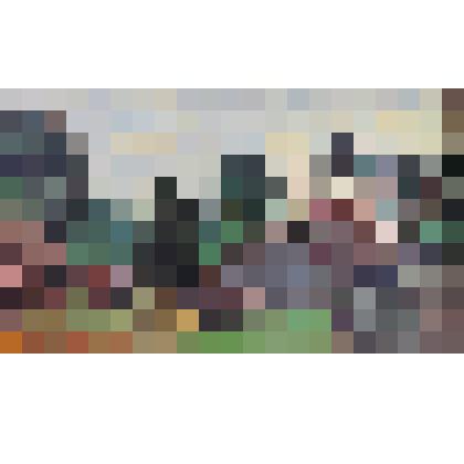 Аверинская Светлана Анатольевна "Вязовское"