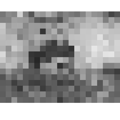 Большой дворец. Белая столовая. Начало ХХ в. Пересъемка