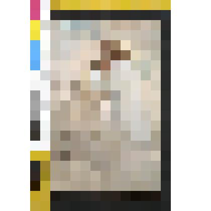 Открытка.Репродукция с картины Яна Стыки « Толстой и Христос» Цв