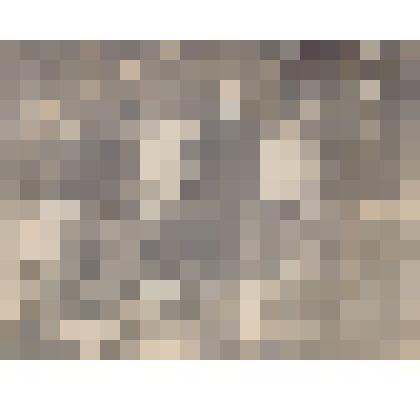 Артамонов с Павловым