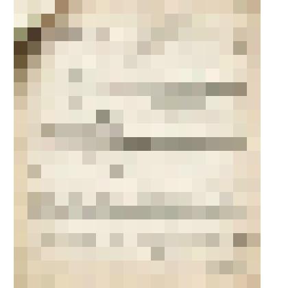 Телеграмма № 5093 в г. Чердынь В.Н.Алину от Ржевина из г. Перми, 20.07.1906 г