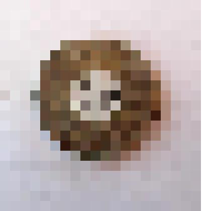 Монета 10 пфеннигов 1921 года