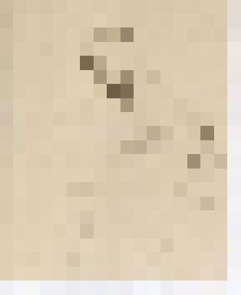 Автопортрет (?)