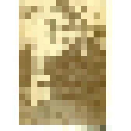 Фотография. "Калмыкова А.Н. в детстве". Из комплекта: Архив семьи Вильчевских