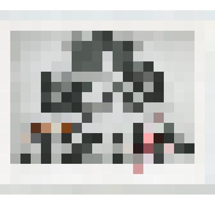 Фото ч/б. Космонавты Международного советско-венгерского экипажа