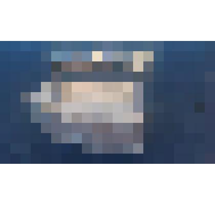 Утюг чугунный