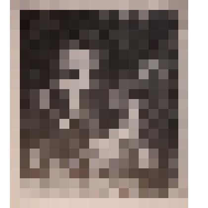 Из книг Б.В. Самусь