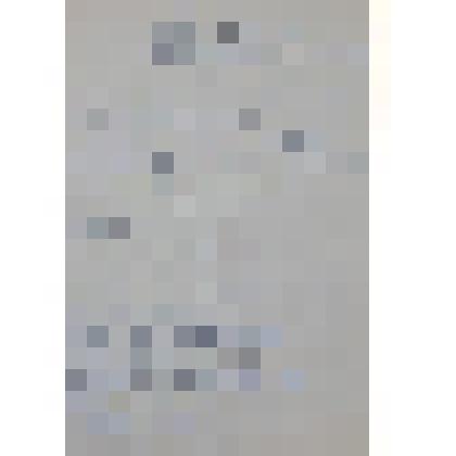 Сведения об участиях в выставках