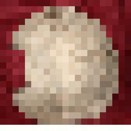 Крышка от самогонного аппарата