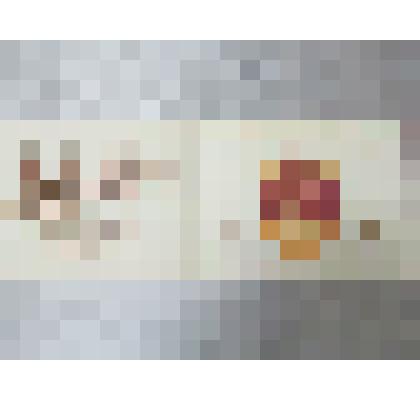 Фотоальбом "Патриархи Русской Православной Церкви". Фотография Патриарха Московского и Всея Руси Иоакима (1674 - 1690 гг.)