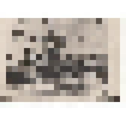 Фото/чб. Энгельсская опытно-мелиоративная станция (ВОЛЖНИИГИМ). Поливной агрегат качает воду из канала. 1960-1970-е