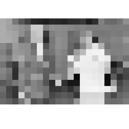 Фото ч/б. Заслуженный работник физкультуры Похлебин В.П. и чемпион по гребле Трощенкова Л