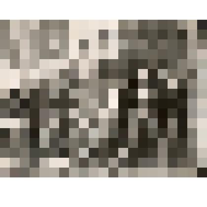 Фотография. Рязанцев Г.П. с администрацией Староминского зерносовхоза. 1947 г