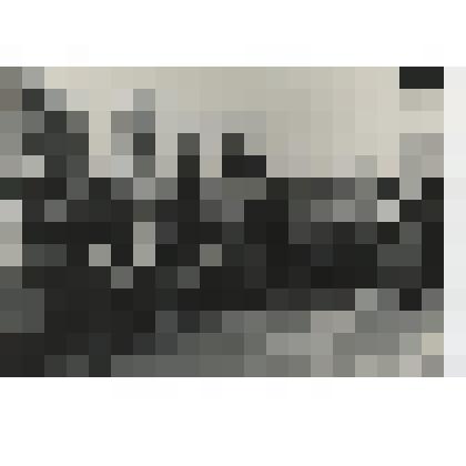 Фотография ч/б. Митинг 7 ноября 1962 г