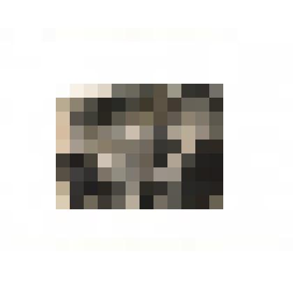 Фотография. Пожарная команда в с. Б-Мурашкино. Начальник Судаков И