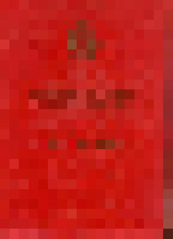 Папка. Папка грамоты почетной исполнительного комитета Тюменского областного Совета депутатов трудящихся товарищу Бардакову Леониду Степановичу за многолетнюю активную работу в партийных, советских органах и в органах народного контроля и в связи с 50-лет