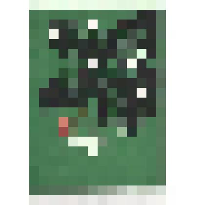 Открытка новогодняя почтовая