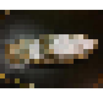 Туфля женская левая