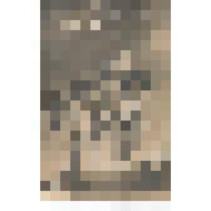 Ф-о/чб "С днем ангела!" (портрет 3 детей с цветочными букетами)./ Письмо на немецком от Флоры из Саратова в Баронск. Набережная. Портному А.И. Бальцер для С.Р. Дизендорф. 1913