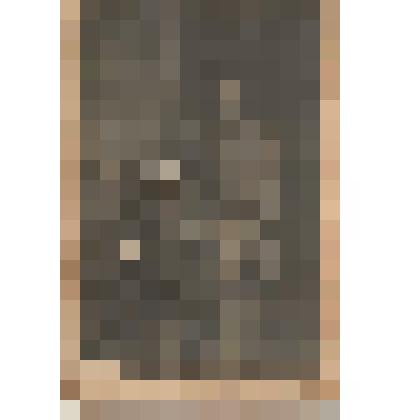 Ф/чб/п. Портрет мужчины с маленькой девочкой (поволжские немцы, Дизендорф).  /Фот. Г. Лидер. Баронск. 1917