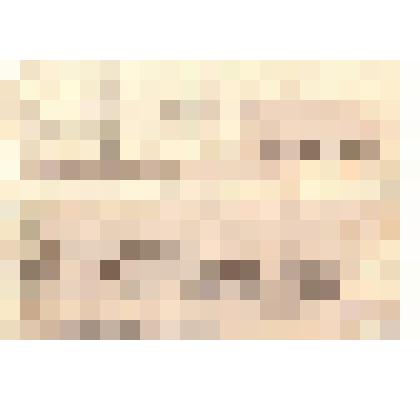 Документ, телеграмма Жилинскому Г.Б от казаринова из Новосибирска