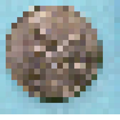 Монета, 1 рубль, 1991