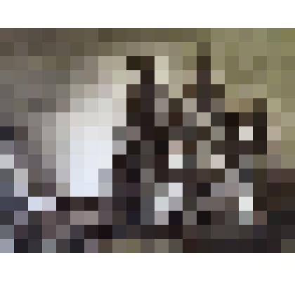 Спас на крови