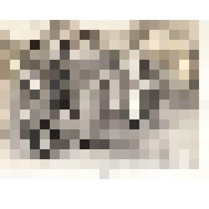 Репродукция с картин