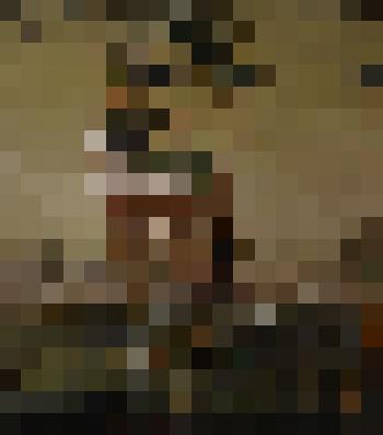 "Введенская церковь". Картина