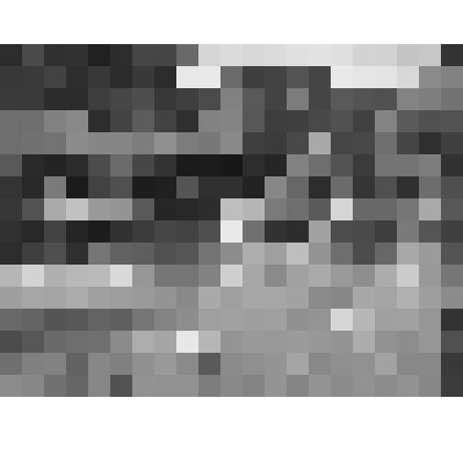 Фотография. Спортивный праздник 36-й ЗСД.  Приветствие участников