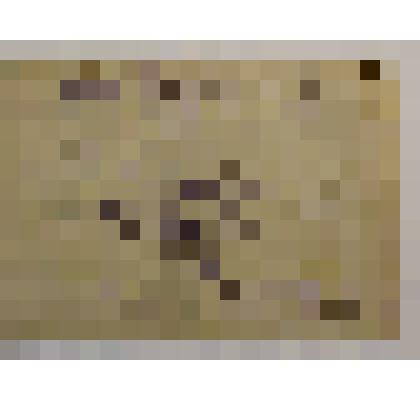 Свидетельство