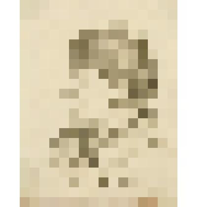 Портрет военного