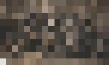 Фотография. Павловская отчетно-выборная комсомольская конференция