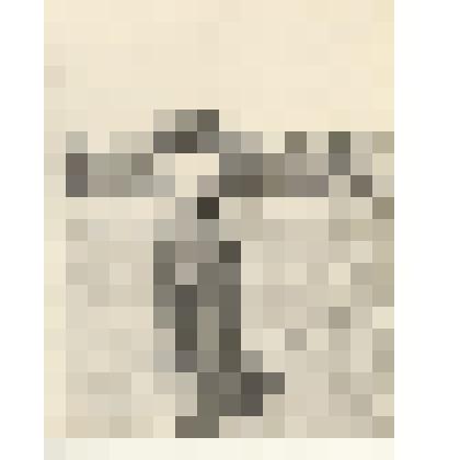 Фотография: Шабуров, чабан колхоза "Родина" Каменского района Алтайского края