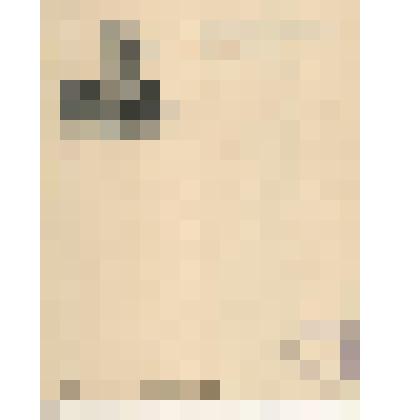 Лист почтовой бумаги с портретом Л.Н. Толстого